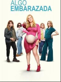 pelicula Algo embarazada