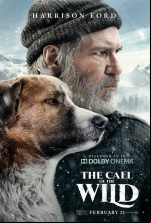 pelicula La Llamada De Lo Salvaje