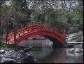 pelicula Salvapantallas Jardin Japones